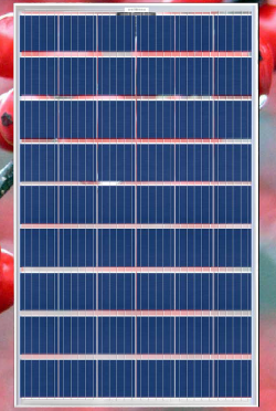 modulo fotovoltaico trasparente, 54 celle