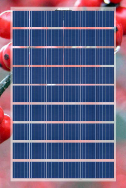 Transparent Photovoltaic Modules to 54 cells